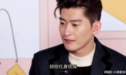 张翰姐弟爆料视频大全集,揭秘娱乐圈不为人知的一面